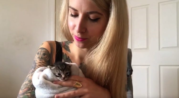 Caring for kittens