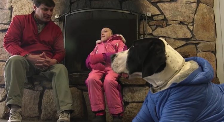 Dog's Best Day for George